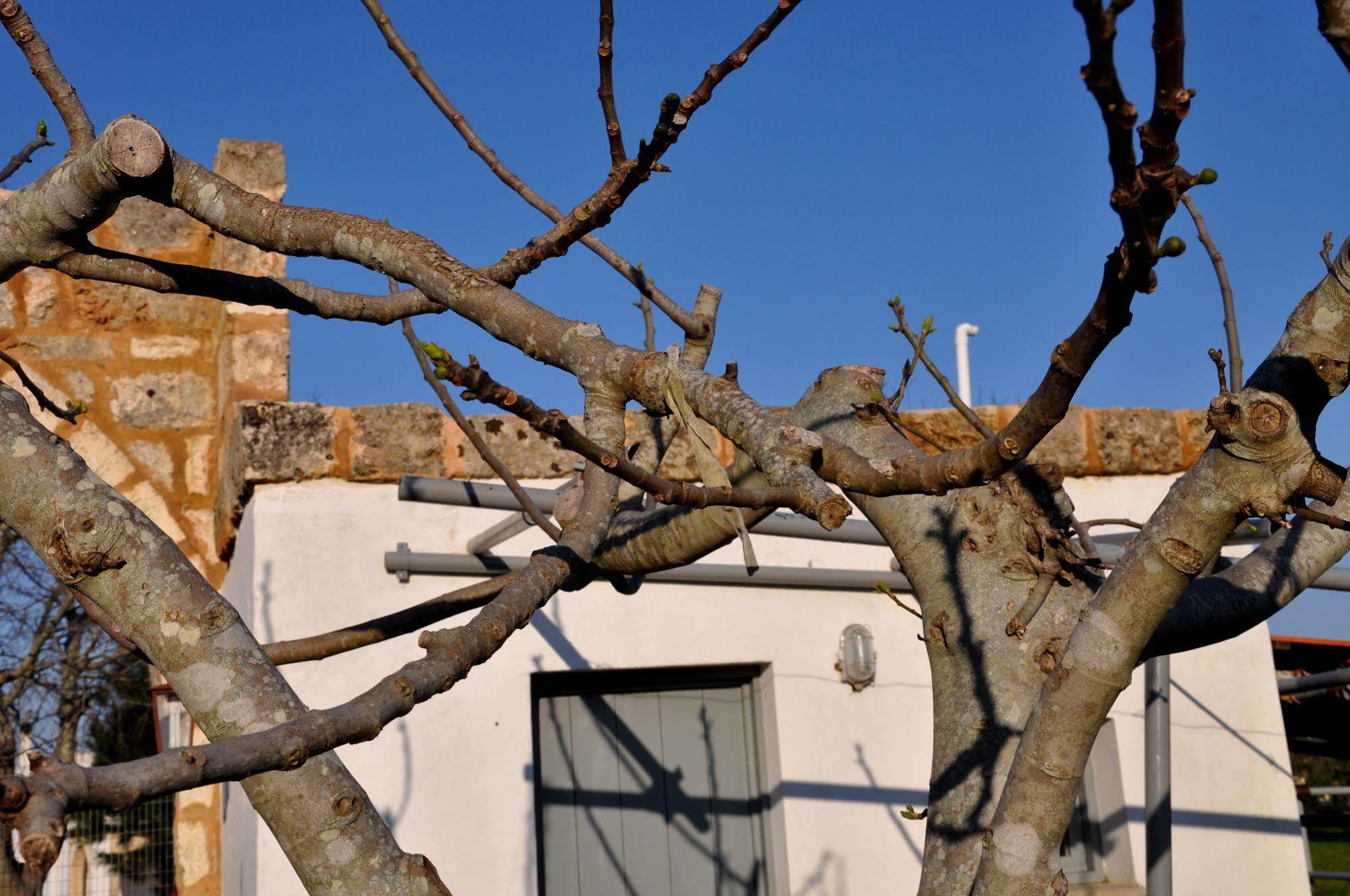 Masseria Uccio Tricase Eksteriør bilde
